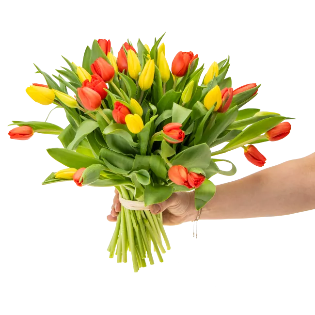 Kytice tulipánů